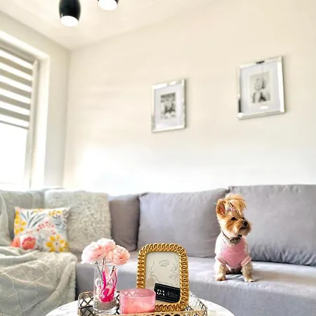 Downtown Family&friends * رشيشوف