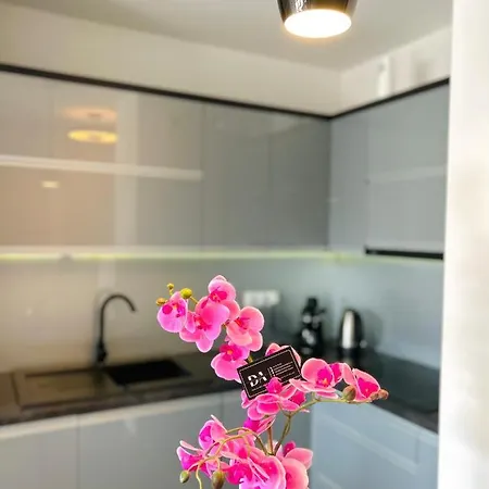 شقة Downtown Family&friends رشيشوف