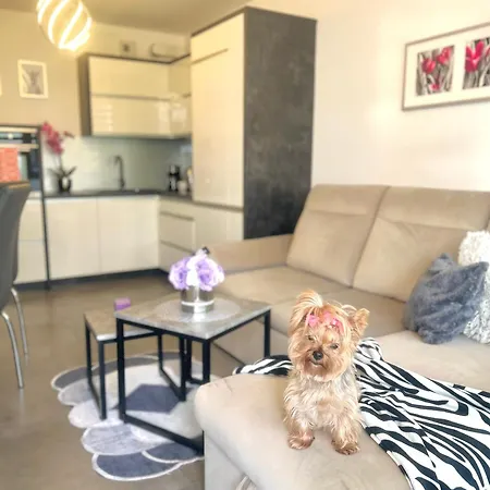 Apartmán Downtown Family&friends Rzeszów