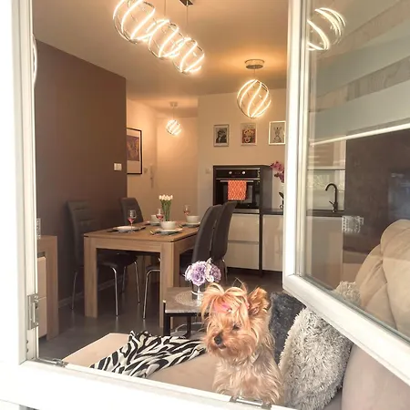 Apartmán Downtown Family&friends