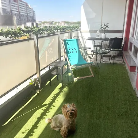 Downtown Family&friends شقة رشيشوف