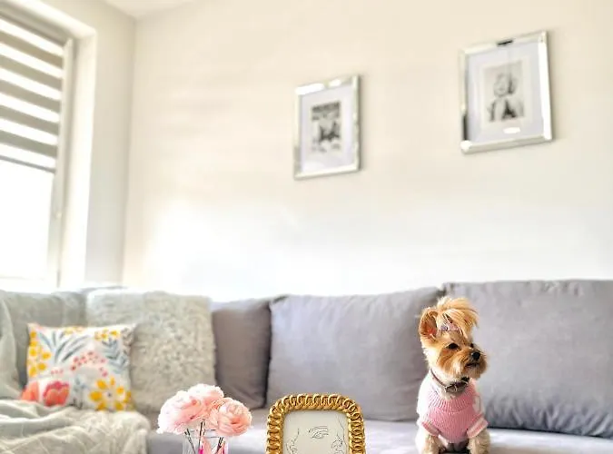 Downtown Family&friends * Rzeszow