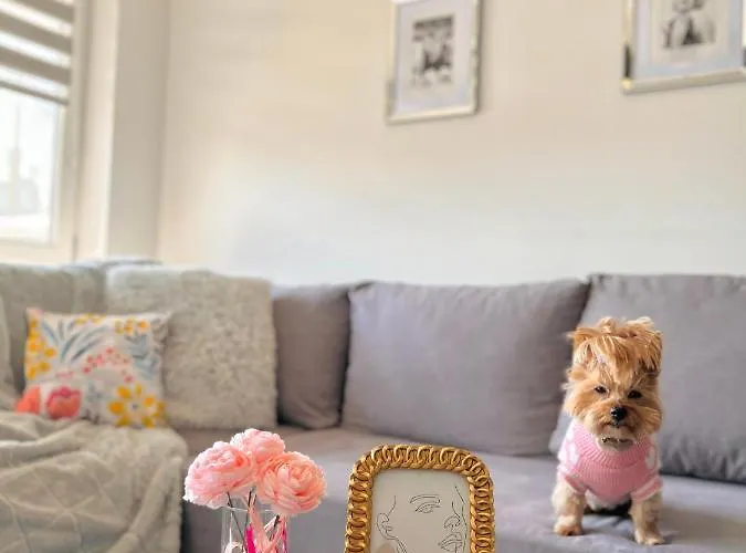 Downtown Family&friends Apartman *