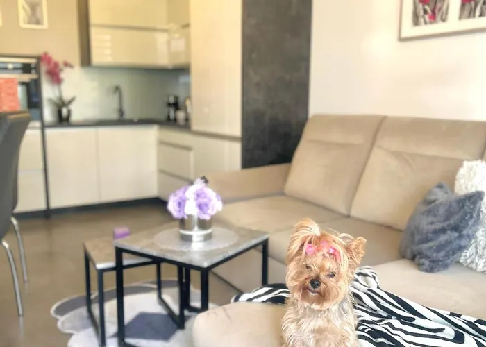 Apartman Downtown Family&friends Rzeszów