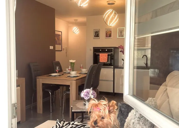 Apartman Downtown Family&friends